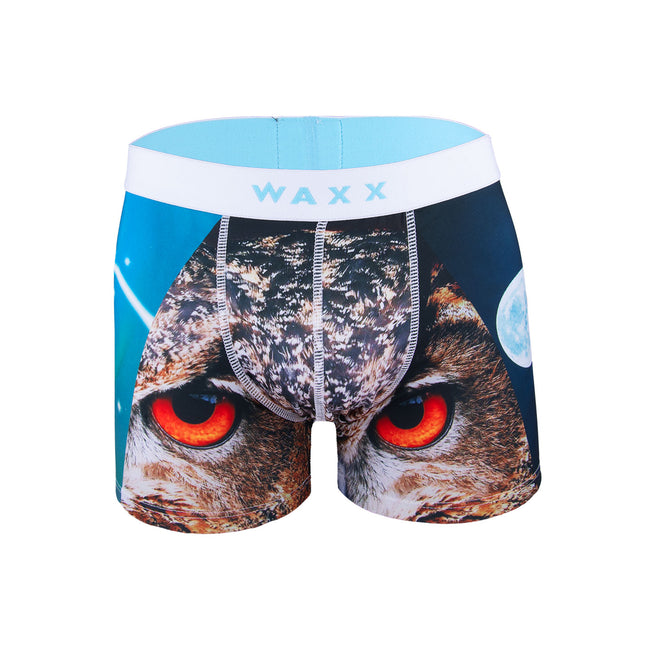 Waxx Mens Boxer Owl