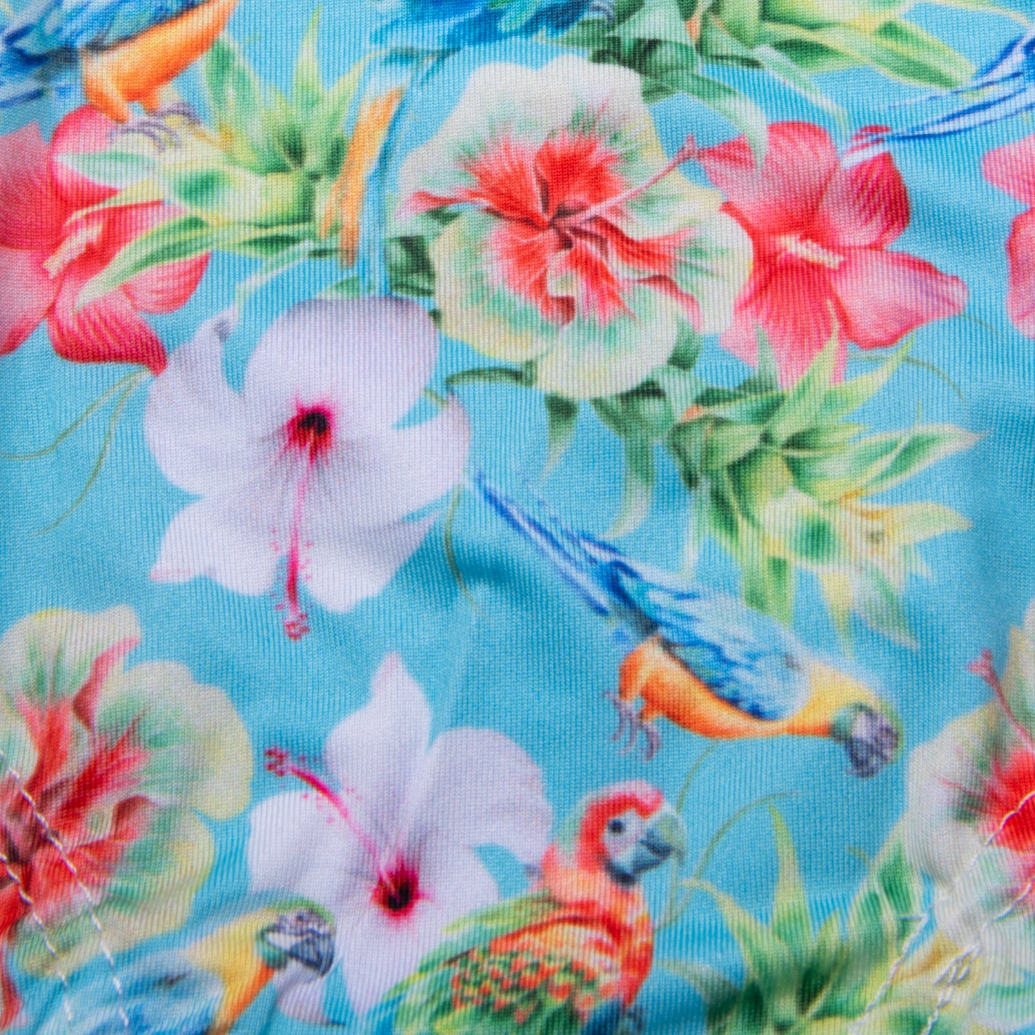Waxx Womens Boy Short Hibiscus